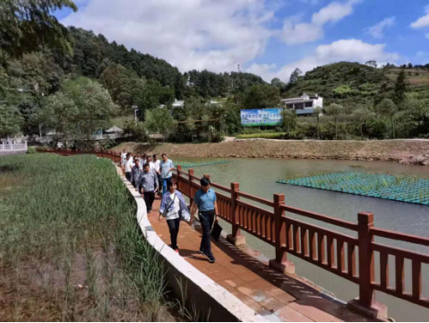 总局鱼洞河流域生态环境综合治理试点项目实现废水达标 还泉水清澈275.png