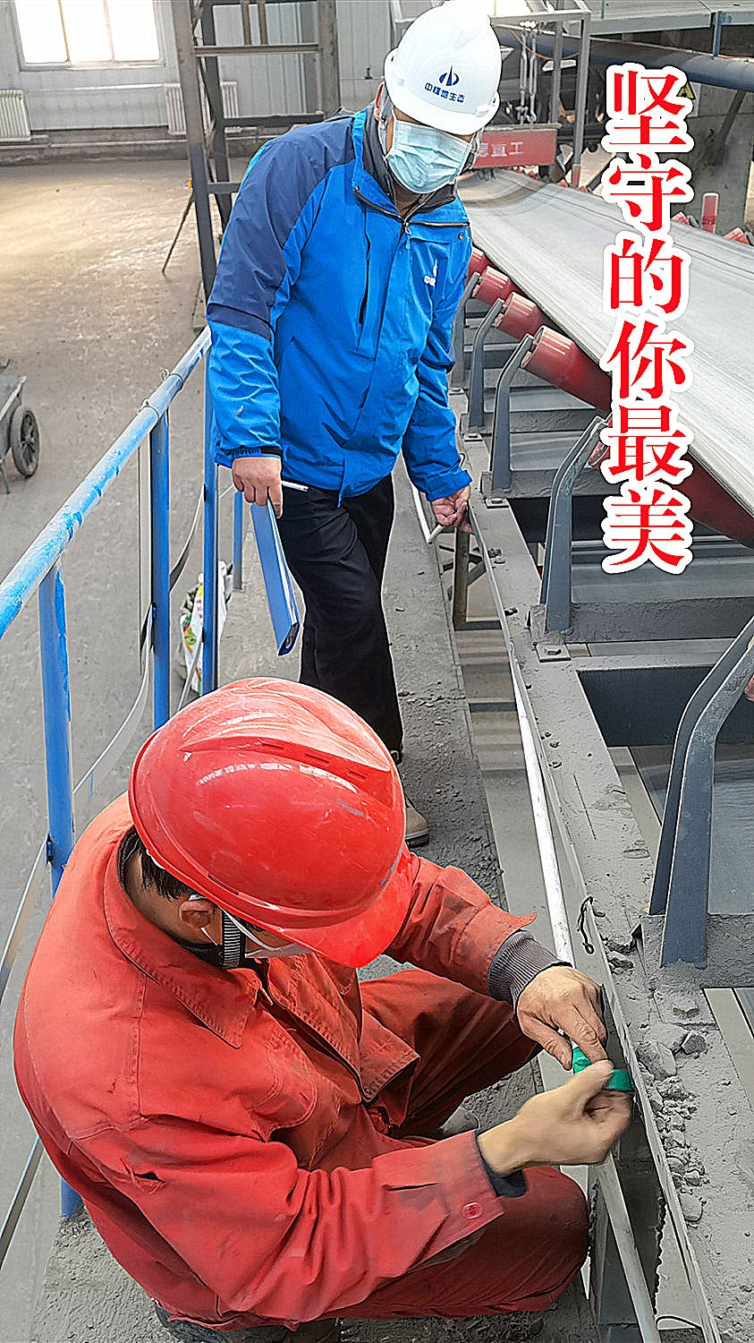 生態.jpg